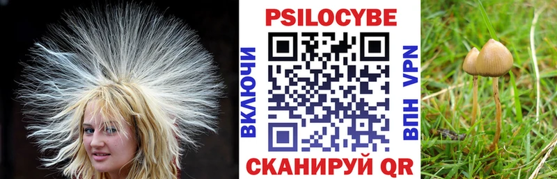 Псилоцибиновые грибы мухоморы  Микунь 